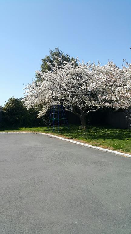 Lilybrook Motel Rangiora Exteriér fotografie